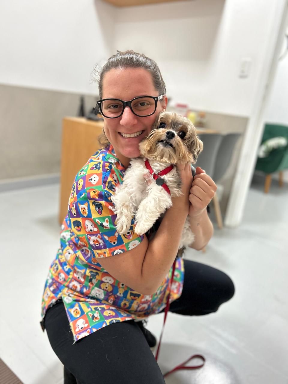 Atendimento na Marcella Dinelli Veterinária Integrativa São Paulo