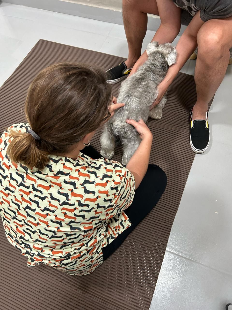 Atendimento na Marcella Dinelli Veterinária Integrativa São Paulo