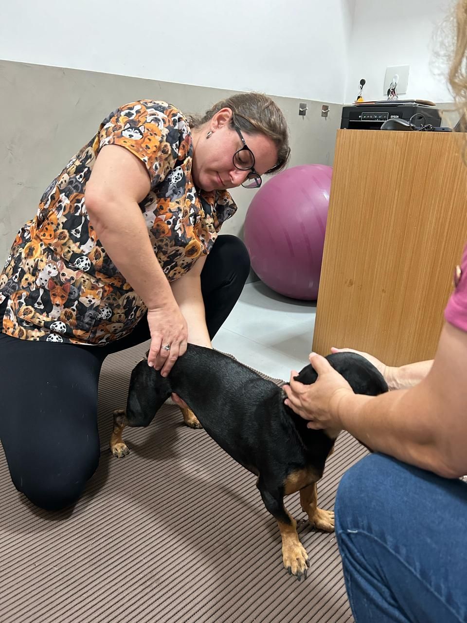 Atendimento na Marcella Dinelli Veterinária Integrativa São Paulo