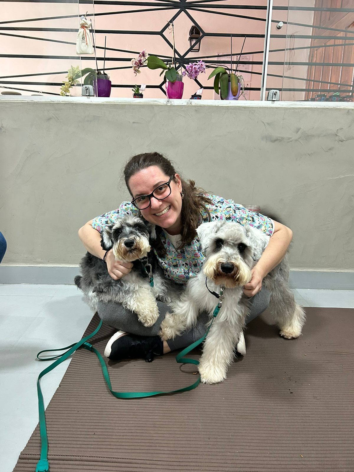 Telemedicina Veterinária — Marcella Dinelli Veterinária Integrativa São Paulo